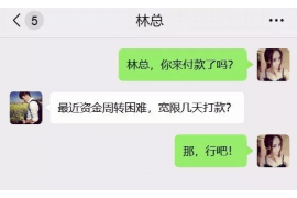 临港融资清欠服务